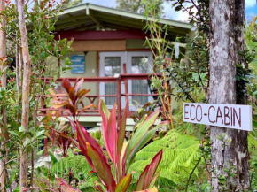 Гостиница Rainforest Eco Cabin  Вулкан